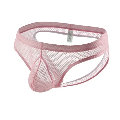 Fishnet Solid Brief with Open Back Design - Image 4