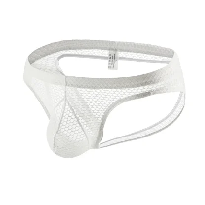 Fishnet Solid Brief with Open Back Design - Image 3