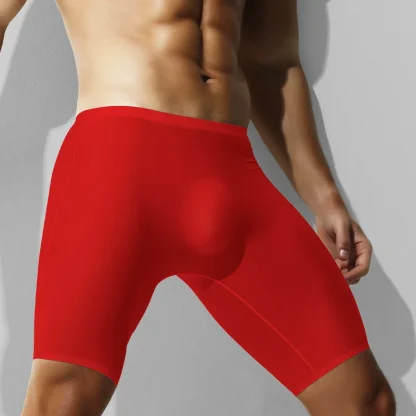 Long Leg Boxer Brief with Seamless Design - Image 4