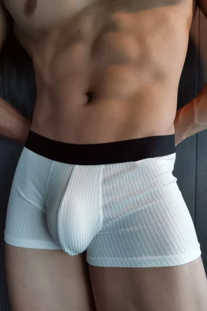 Fitted Boxer Brief with Big Bulge Pouch - Image 2