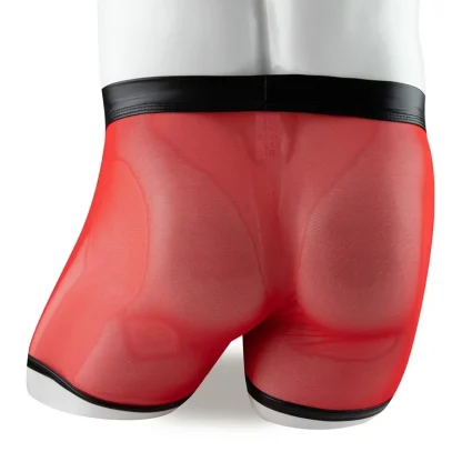 Transparent Boxer Brief with Snap Button Crotch - Image 6