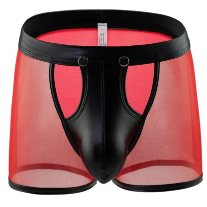 Transparent Boxer Brief with Snap Button Crotch - Image 2