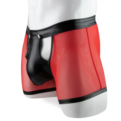 Transparent Boxer Brief with Snap Button Crotch - Image 9