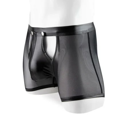 Transparent Boxer Brief with Snap Button Crotch - Image 4